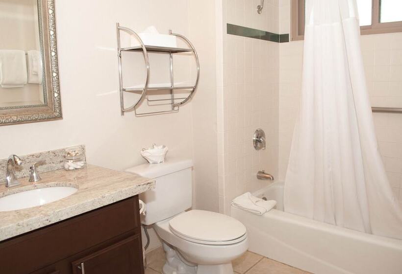 فندق Laguna Shores Studio Suites