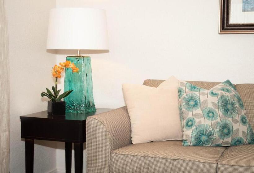 فندق Laguna Shores Studio Suites