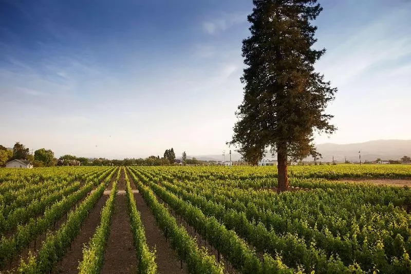 Резиденция Senza