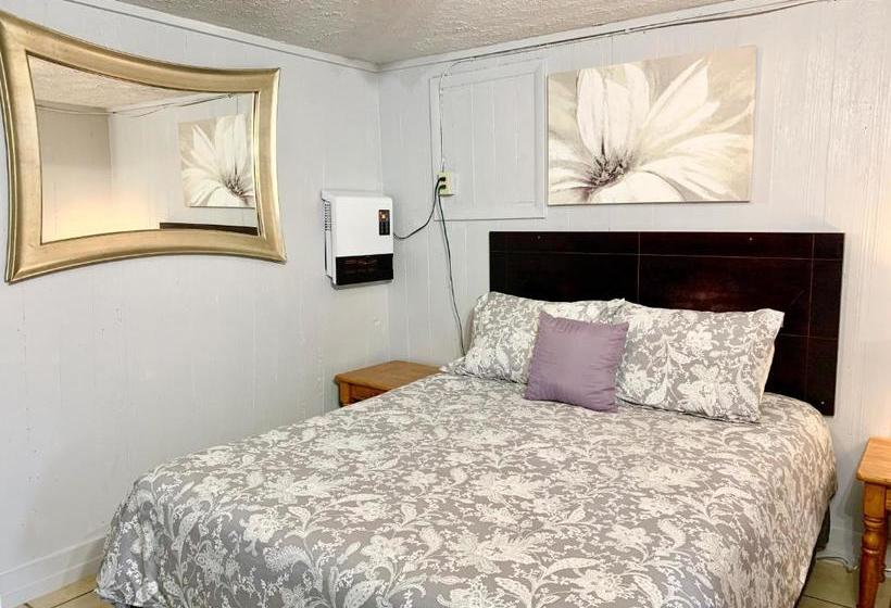 ユースホステル Spring Creek