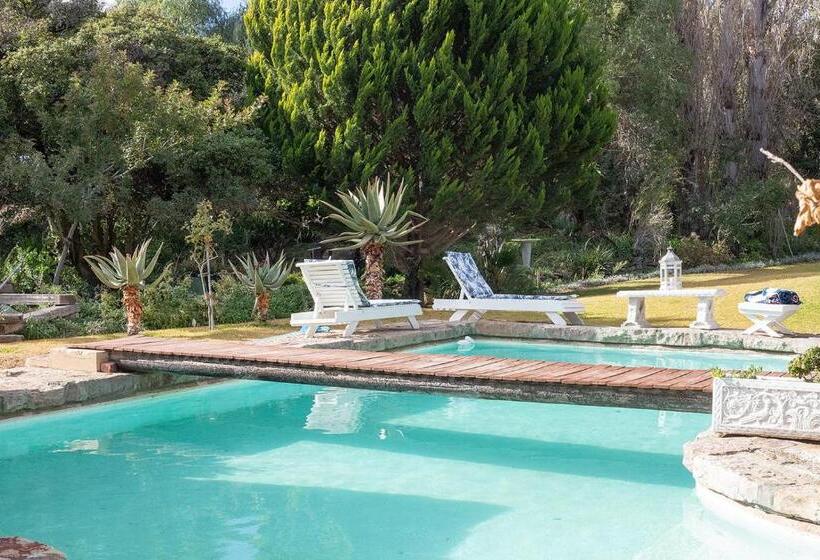 Bed and Breakfast Swallows Nest