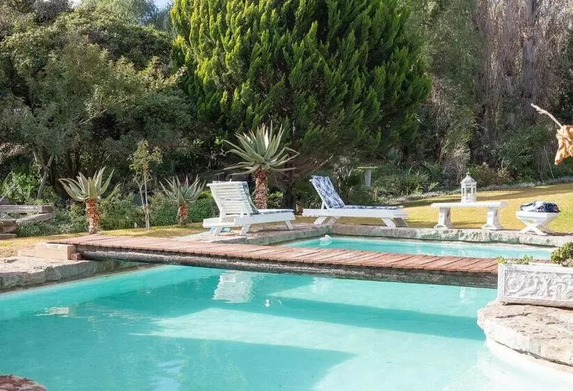 Aamiaismajoitus (B&B) Swallows Nest