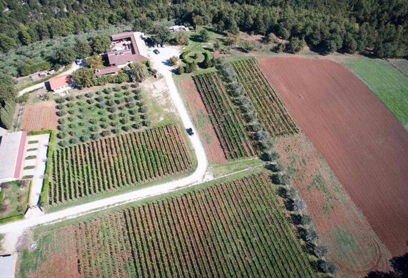 Il Cuccaro B&b Bike Friendly