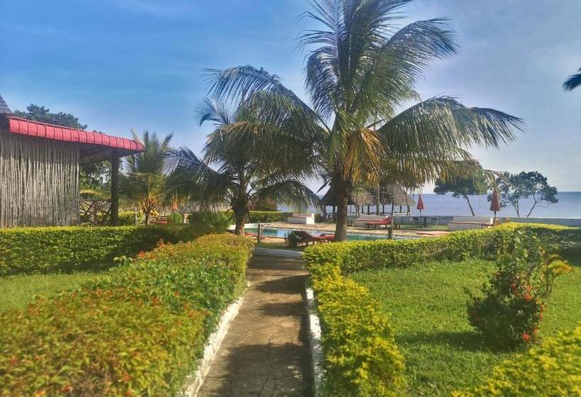 酒店 Moment In Time