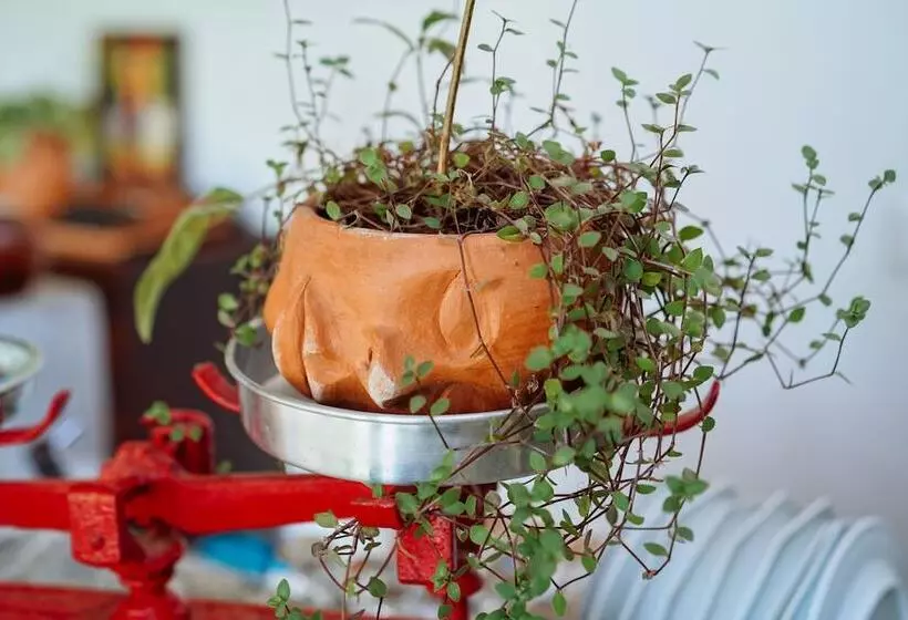 ホテル Aqualtune Pousada