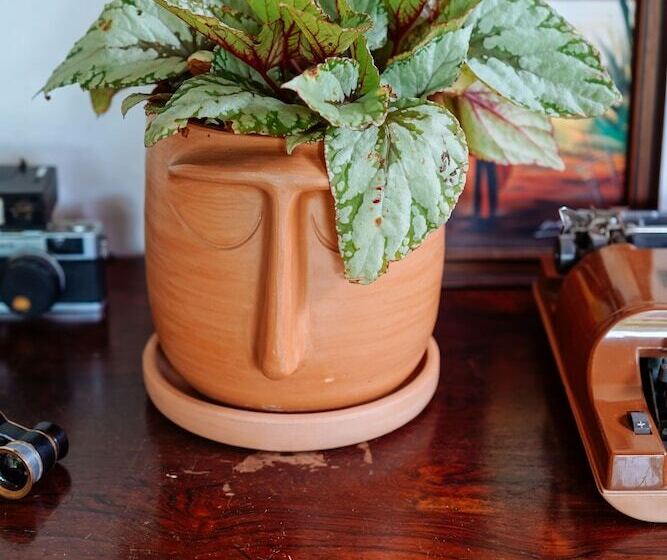 Отель Aqualtune Pousada