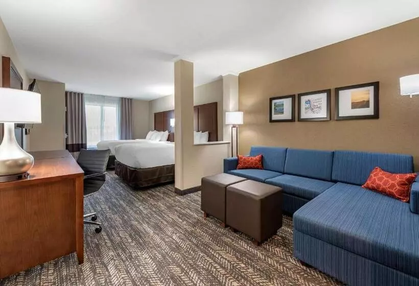 ホテル Comfort Suites