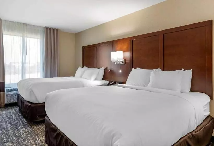 ホテル Comfort Suites