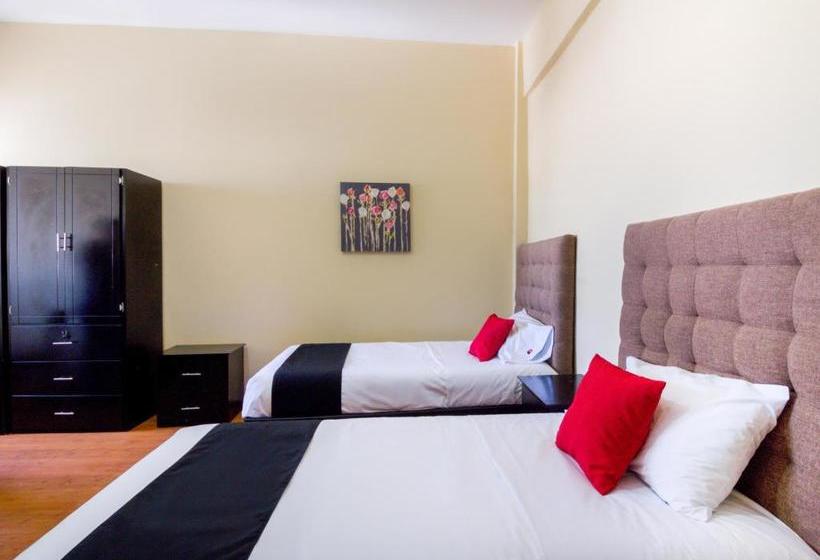 בית מלון כפרי Ecohabit, Monterrey