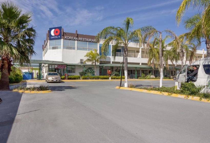 בית מלון כפרי Ecohabit, Monterrey