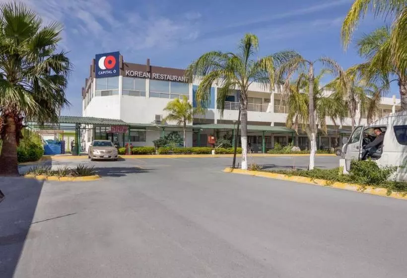 Hotelli Ecohabit, Monterrey