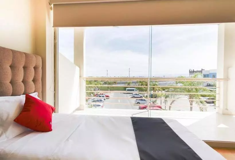 Hotelli Ecohabit, Monterrey