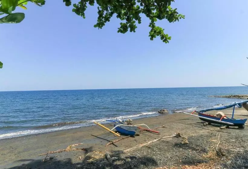 Hotelli Tara Bar & Resto Air Sanih