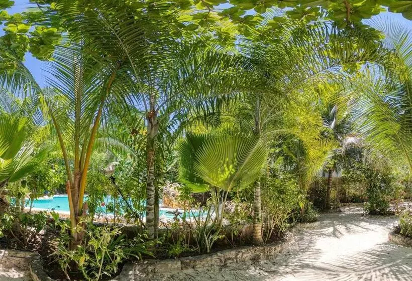 Hotelli Mustapha' S Place