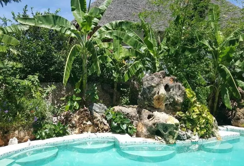 Hotelli Mustapha' S Place