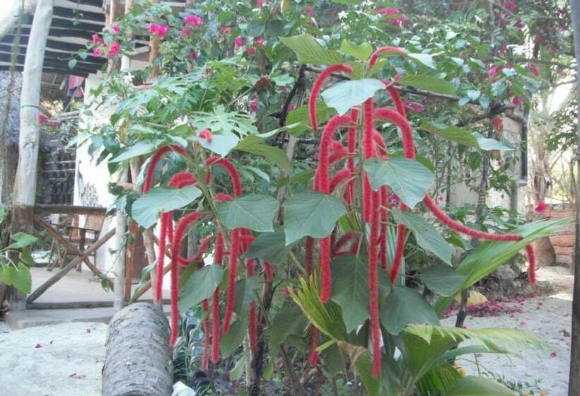 酒店 Mustapha' S Place