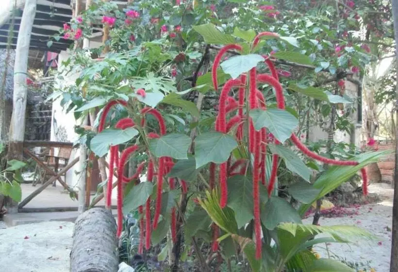 Hotelli Mustapha' S Place