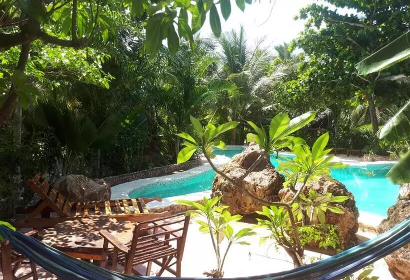 Hotelli Mustapha' S Place