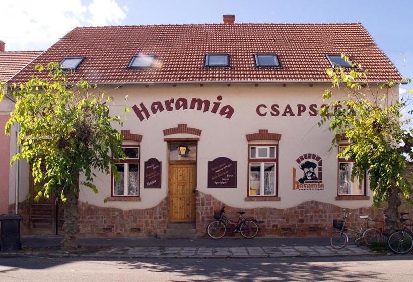 بنسيون Haramia Csapszék és Fogadó