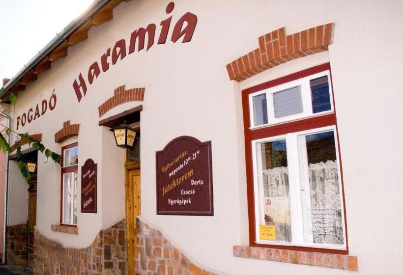 بنسيون Haramia Csapszék és Fogadó