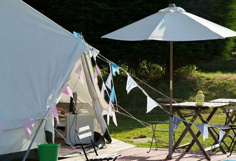 منتجع Whitecliff Bay Holiday Park