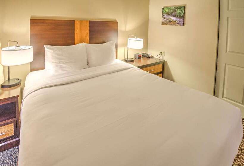 Leconte Hotel & Convention Center, Ascend Hotel Collection