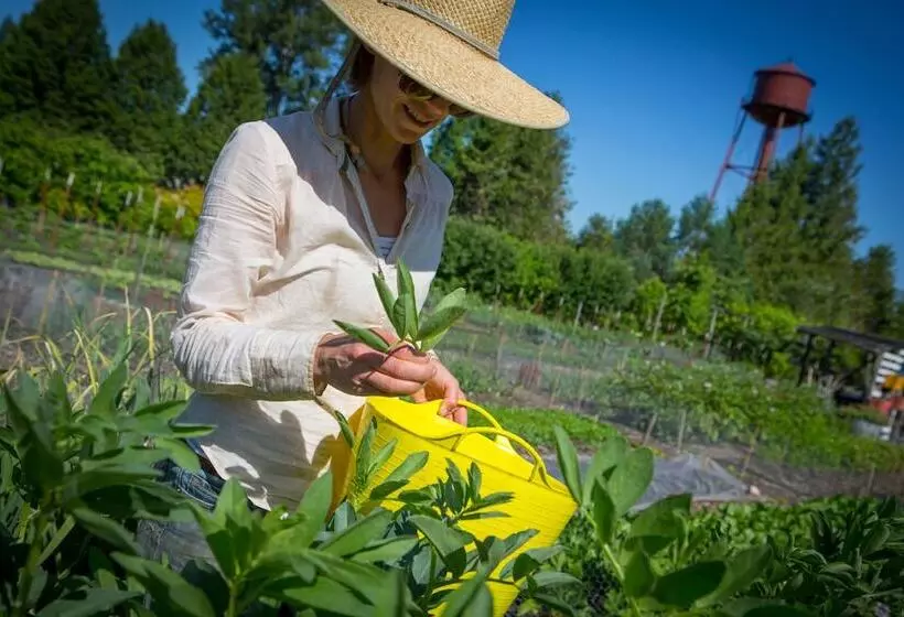 בית מלון כפרי Mcmenamins Edgefield