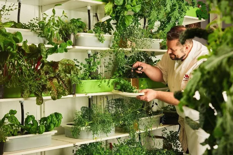 ホテル Philadelphia Marriott Downtown