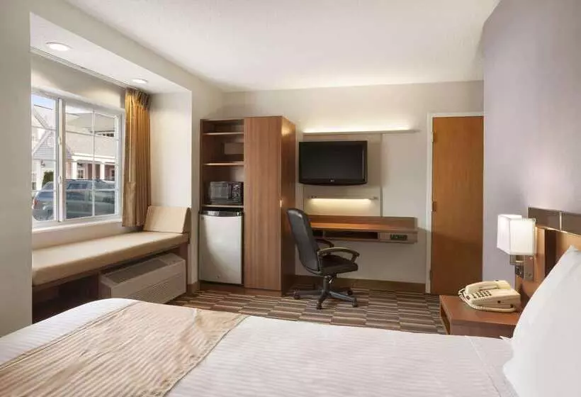 Microtel Inn By Wyndham Albany Airport