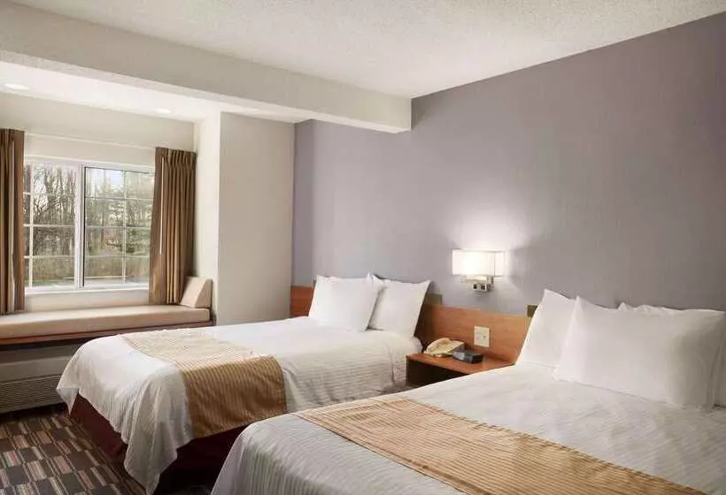 Microtel Inn By Wyndham Albany Airport
