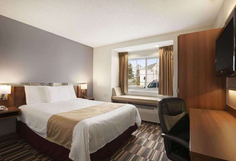 Microtel Inn By Wyndham Albany Airport