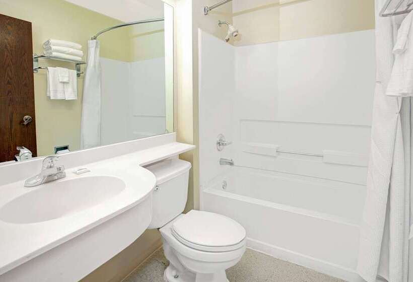 Microtel Inn By Wyndham Atlanta Airport