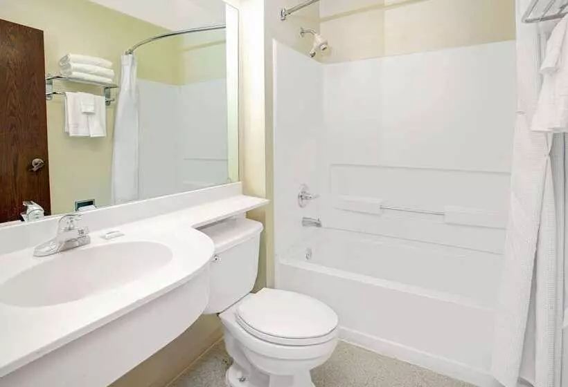 Microtel Inn By Wyndham Atlanta Airport