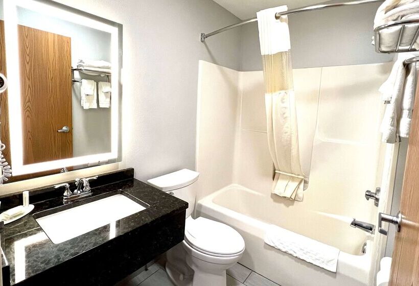 Microtel Inn By Wyndham Janesville