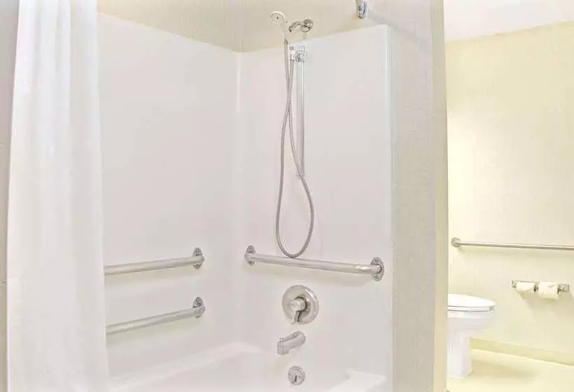 Microtel Inn By Wyndham Raleigh Durham Airport