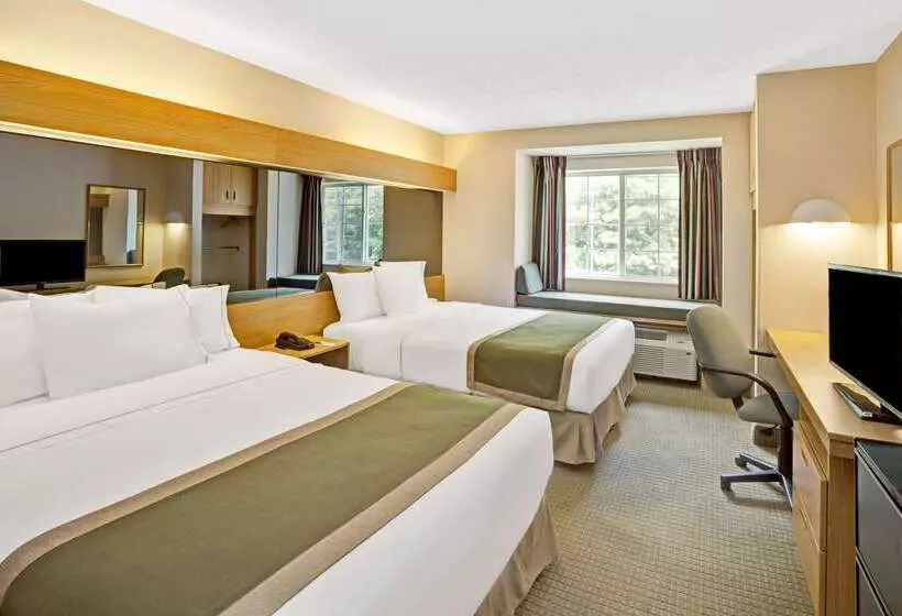 Microtel Inn By Wyndham Raleigh Durham Airport