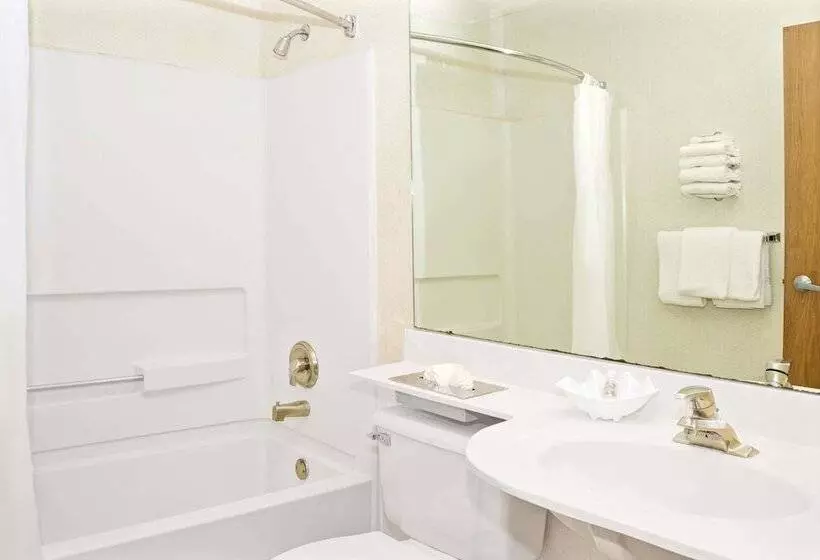 Microtel Inn By Wyndham Raleigh Durham Airport