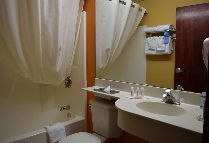 Microtel Inn & Suites By Wyndham Rock Hill/charlotte Area