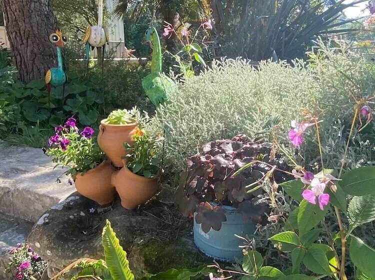 ベッドアンドブレックファースト Le Mas Normand