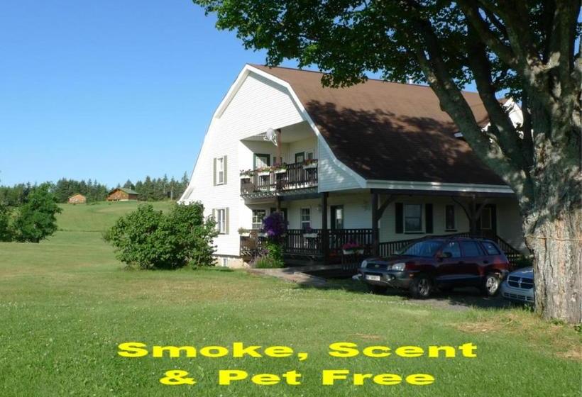 فندق Forest Haven Inn