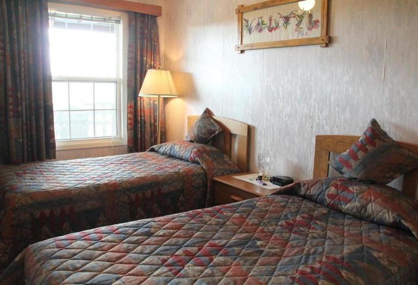 فندق Forest Haven Inn