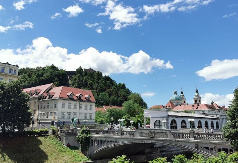 پانسیون Cha Cha Rooms