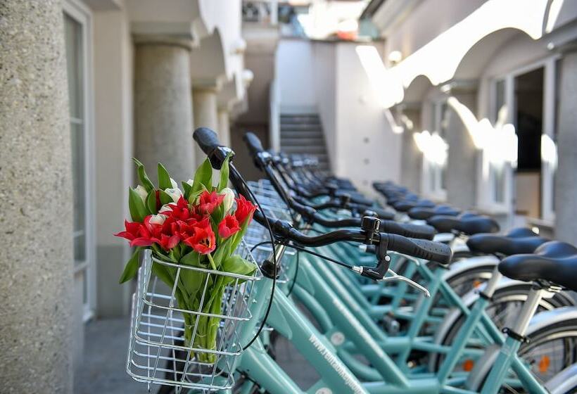 پانسیون Cha Cha Rooms