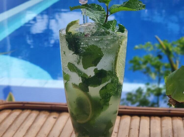 بنسيون Sanssouci Kep