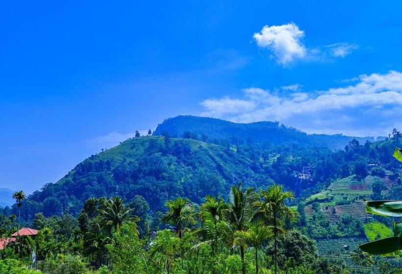 Bed and Breakfast Dimuthu Home Stay