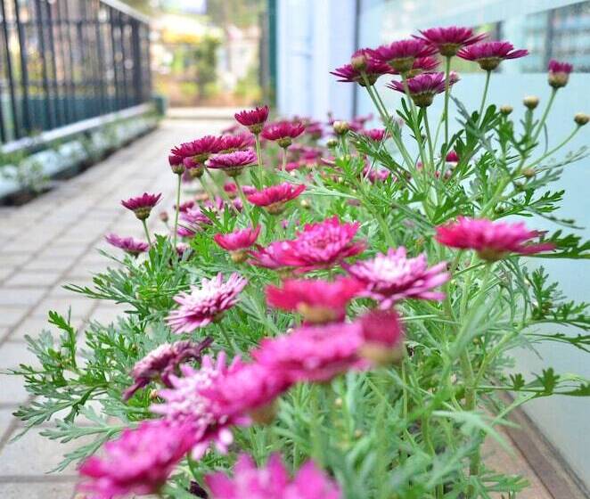 호텔 Yensfield Blackpool