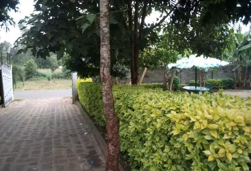 پانسیون Regency Guest Homes