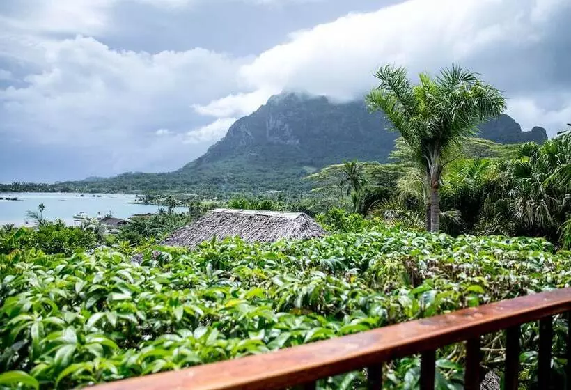 پانسیون Rohotu Fare