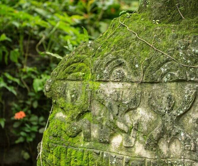 پانسیون Rohotu Fare