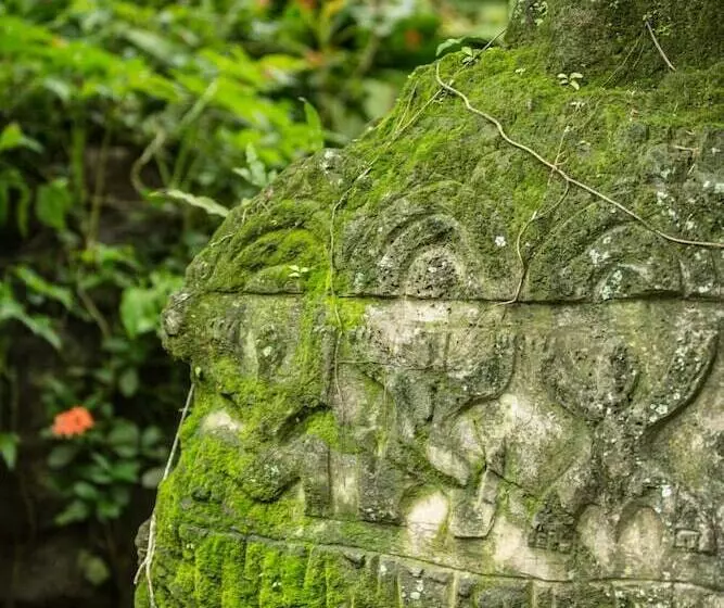 پانسیون Rohotu Fare